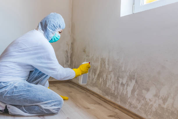 Licensed Mold Testing service in Jefferson, MD - WQB Mold Removal